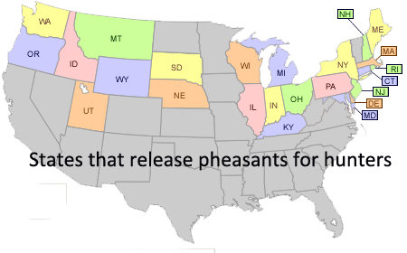 States with public pheasant release programs